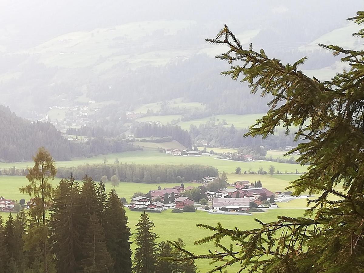 Haus Seppi Otel Neukirchen am Großvenediger Dış mekan fotoğraf