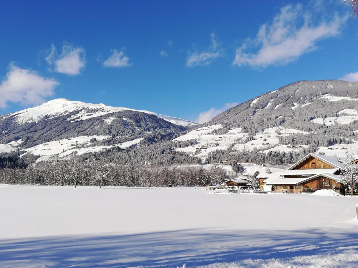 Haus Seppi Otel Neukirchen am Großvenediger Dış mekan fotoğraf
