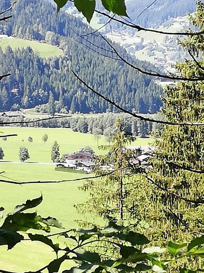 Haus Seppi Otel Neukirchen am Großvenediger Dış mekan fotoğraf
